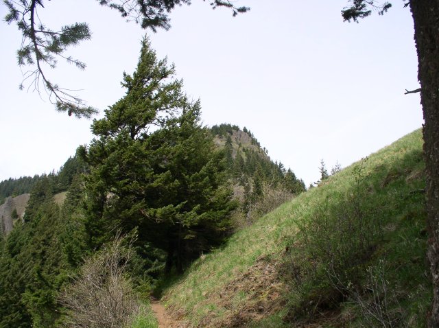 4.30.06 Hamilton Mountain 052 